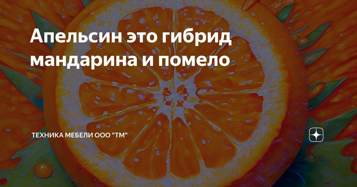 Апельсин это гибрид чего