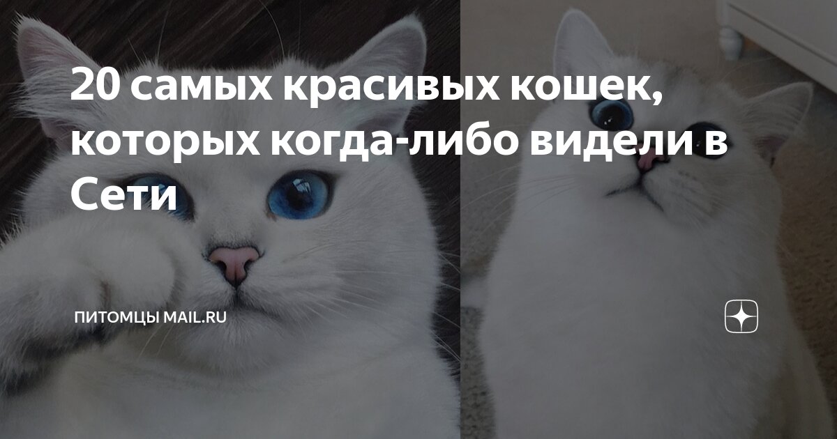 Которую я когда либо видел