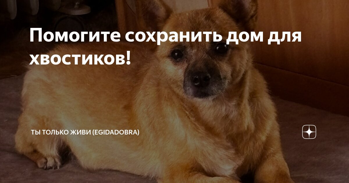 Ты мне поможешь или не поможешь. Ты мне поможешь или не поможешь