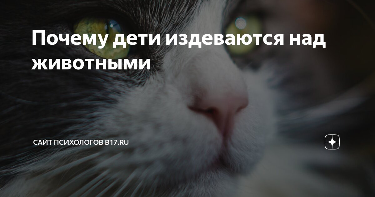 Почему издеваются