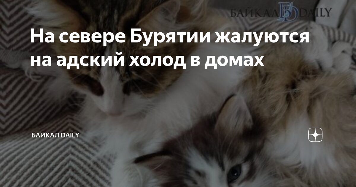 Где я был вчера. Дверь там. Начала мне там. Веселые афоризмы. Заклинания на удачу и везение во всех делах.