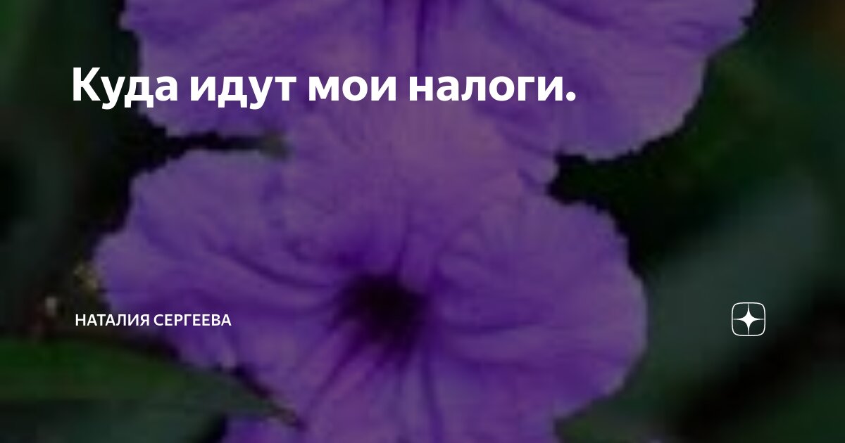Куда они ходят. Бабка в автобусе. Куда они ходят. Люди на улице. Идем мы с пятачком.