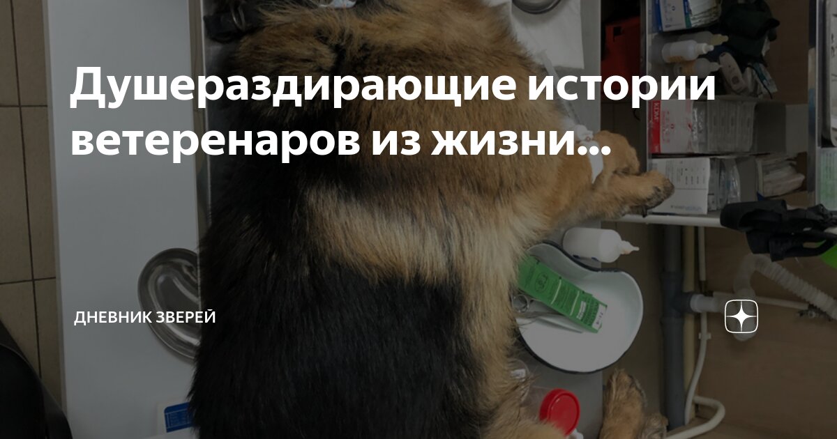 Мою вообще это самое. Мемы с людьми. Самый лучший друг это кот. Да ты что картинки. Что будем делать картинки.