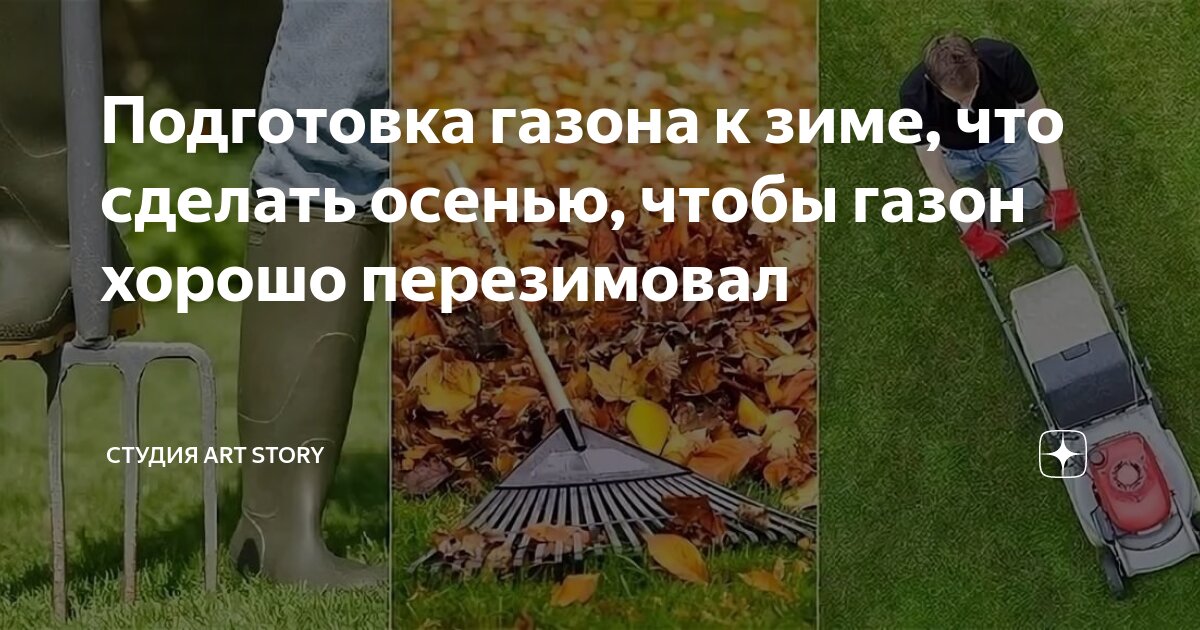 Что сделать чтобы были