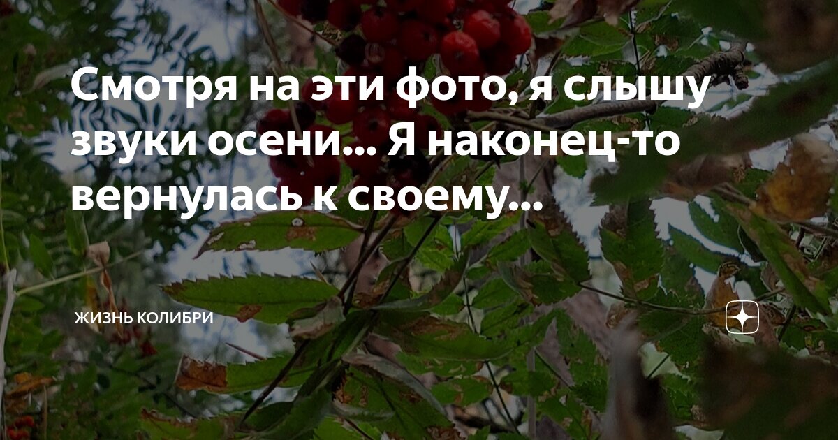 Skyrim мемы. Ну погоди ты меня слышишь. Наконец то ты меня слышишь. Заяц ты меня слышишь мем. Ура наконец то.
