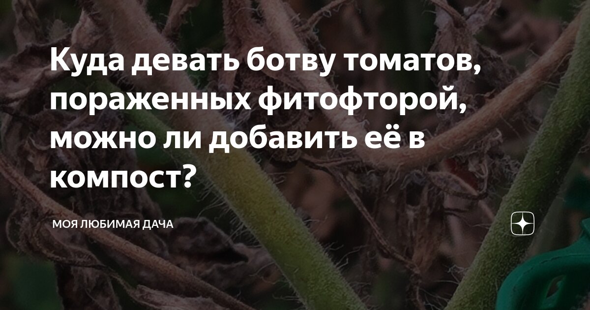 Можно ли помидорную ботву в компост