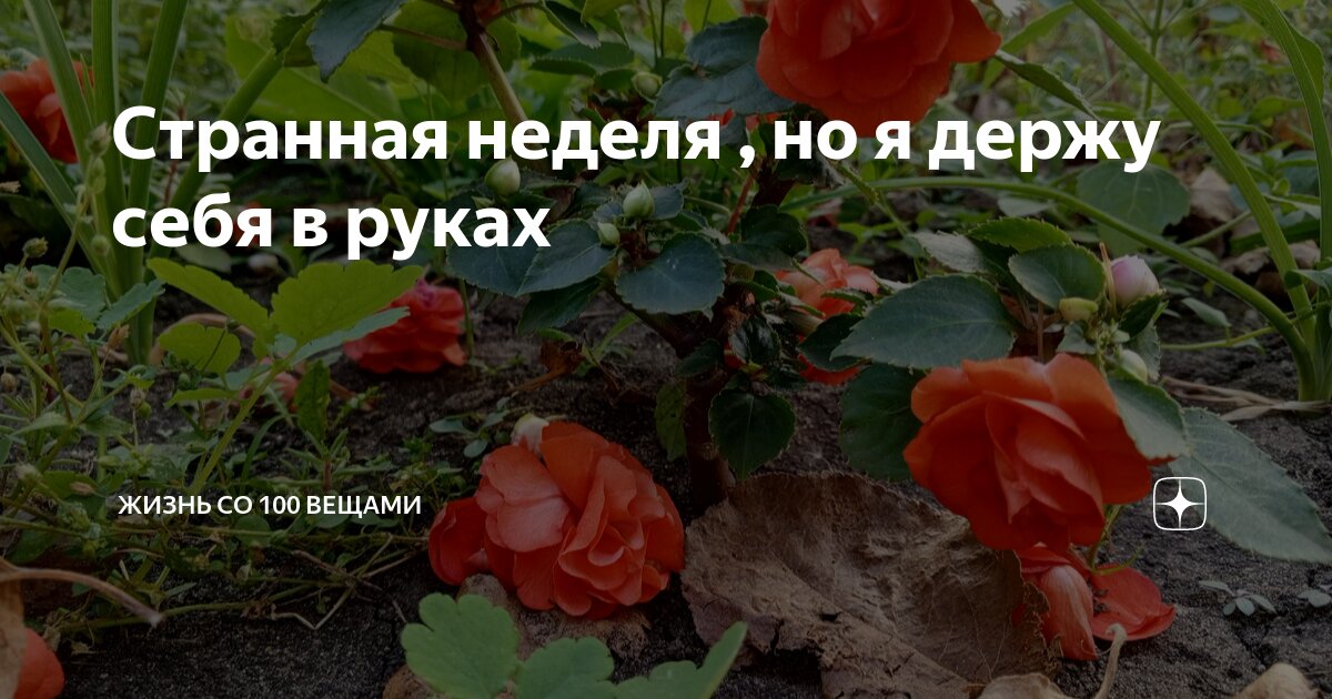 Шестидневная рабочая неделя. На следующей неделе уже август. На той неделе будет. Шутки про дедлайн. Комиксы про дилберта на русском языке.