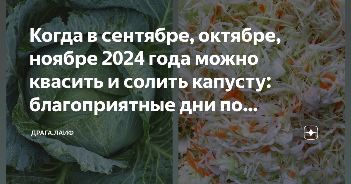 Когда солить капусту в сентябре 2024