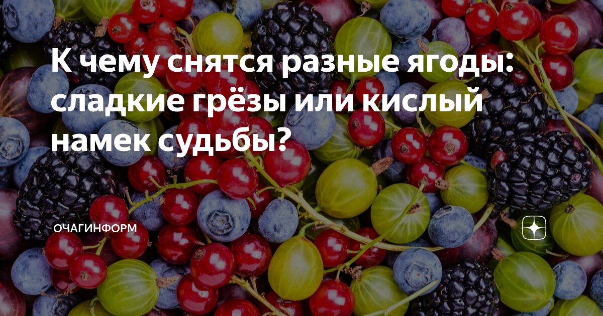 Внутри сна. Lays самая большая пачка. Спящие рыбы. Осознанные сновидения картинки. Вкусы во сне.