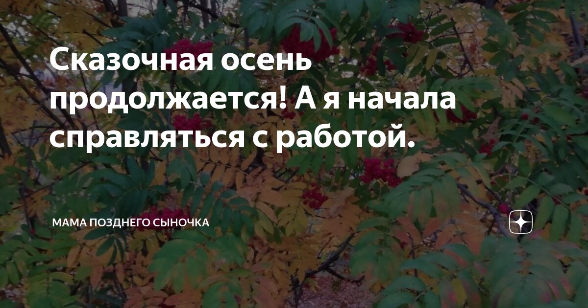 Сказочная осень продолжается! А я начала справляться с работой. | Мама ...