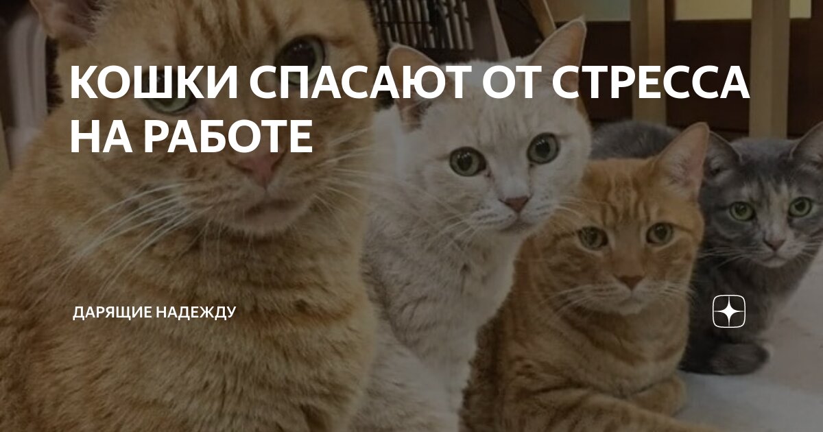 Хорошо ты пришла