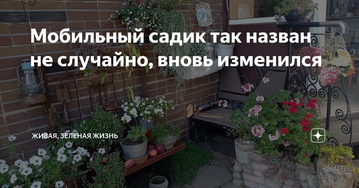Мобильный садик так назван не случайно, вновь изменился | Живая ...