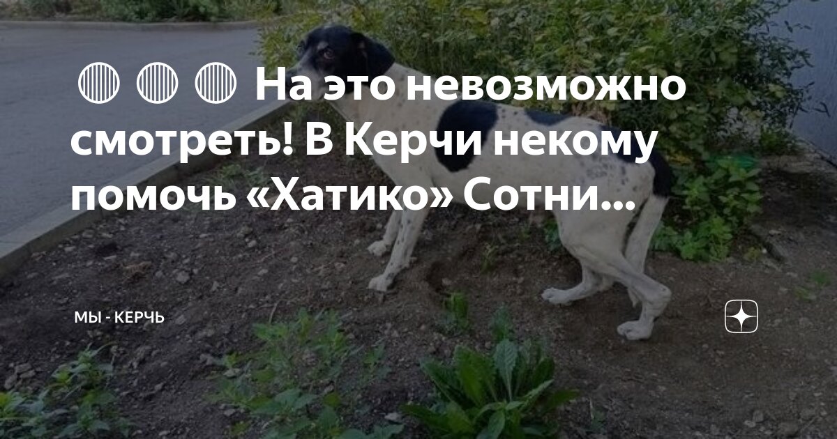 Что смотришь помоги