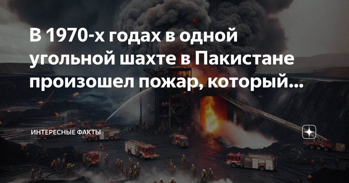 К рваным ранам души кота приложи. Сей факт. К ранам души ты кота приложи откуда. Сей факт. Юмор не бойся прорвемся.