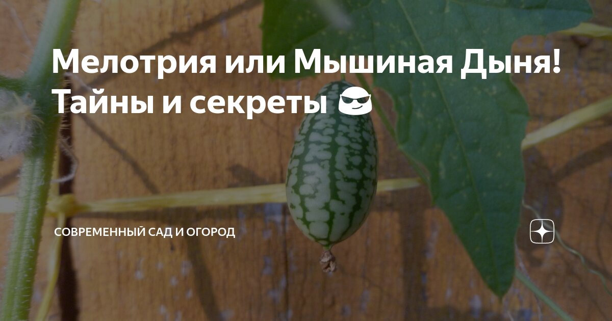 У нас были секреты