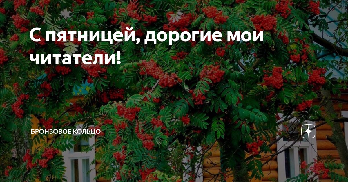 С пятницей, дорогие мои читатели! | Бронзовое кольцо | Дзен