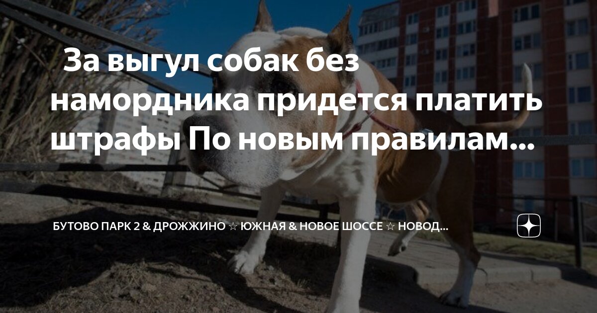 Без намордника москва