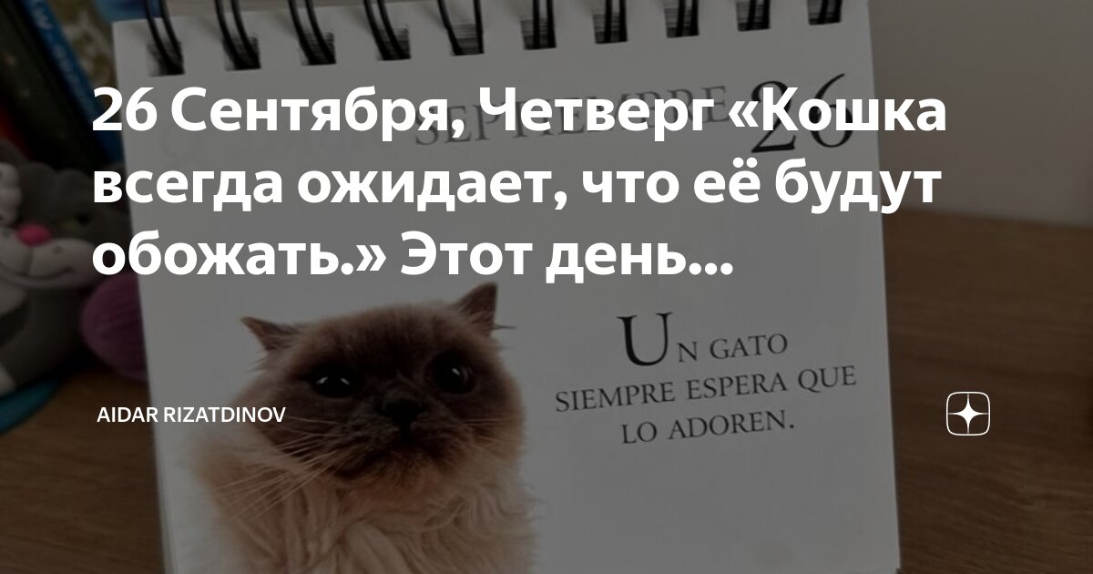 Живу по принципу цитаты. Что можно было ожидать. Фразы про ждать. Что можно было ожидать. Я тебя подожду только ты приходи навсегда.