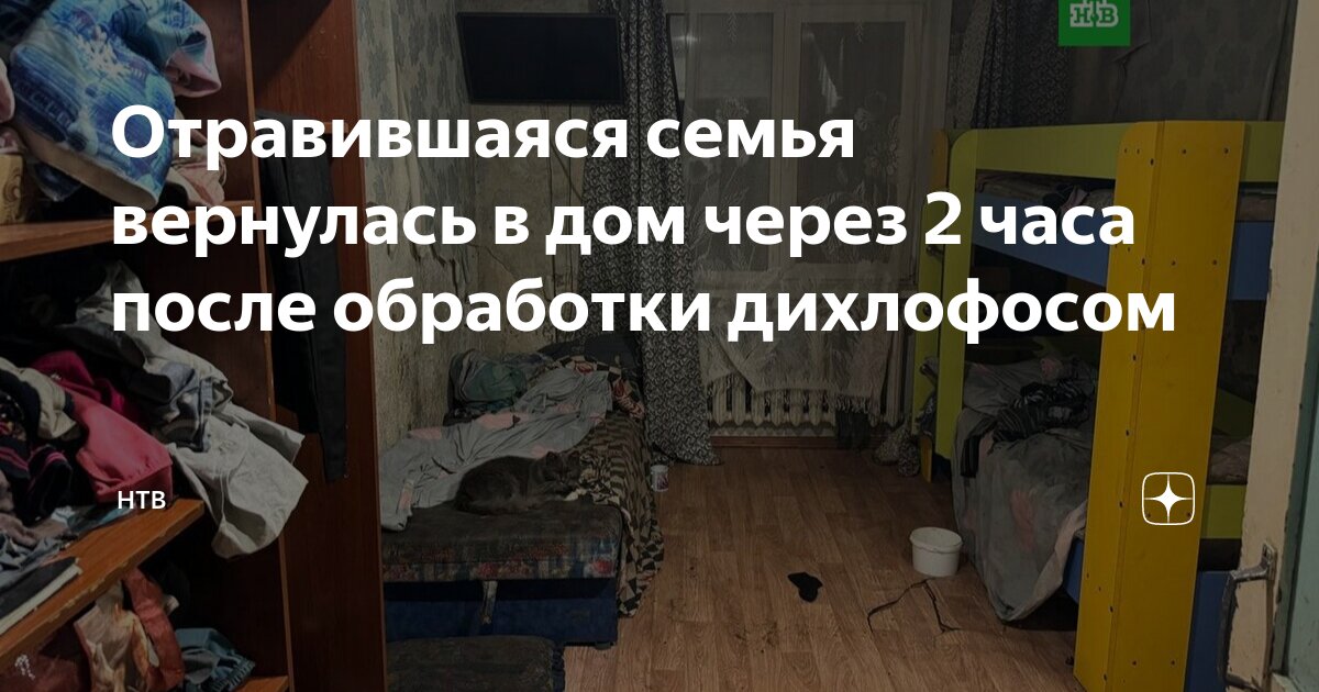 Что стало с семьей отравившихся