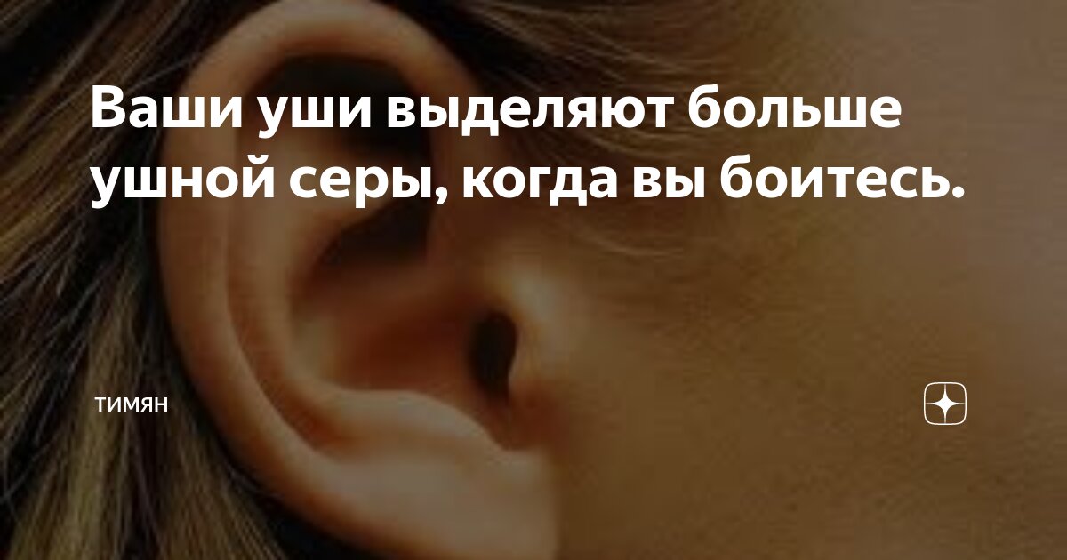 Ухо или уха. Ухо. Ухо. Женское ухо. Ухо или уха.