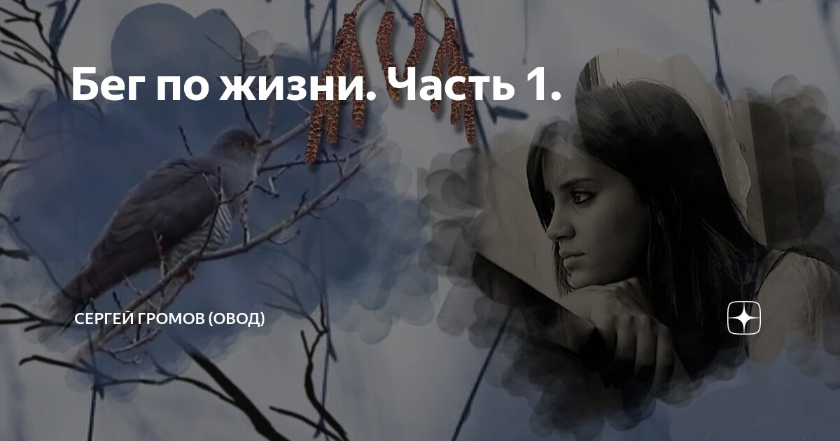 Канал на дзен овод