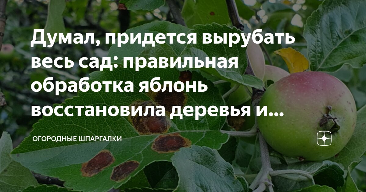 в саду растут и вишни и яблони и груши синтаксический разбор