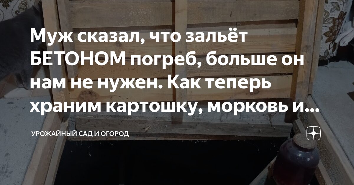 как сохранить морковь и свёклу на балконе