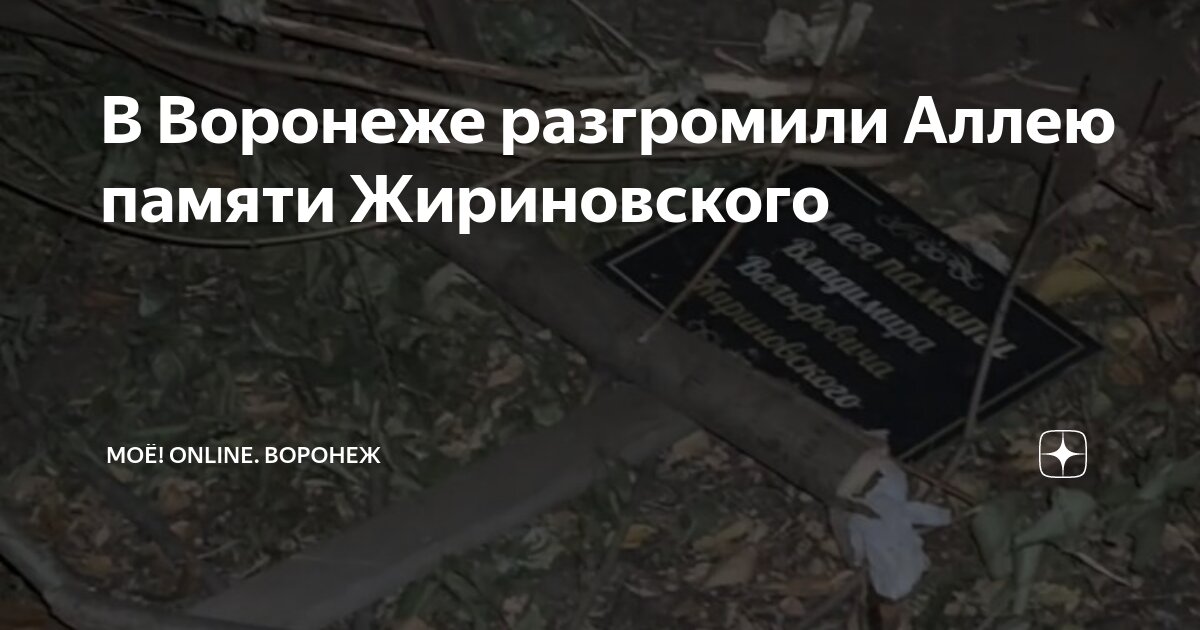 Аллея жириновского воронеж где. Аллея жириновского воронеж где. Аллея жириновского воронеж где. Аллея жириновского воронеж где. Аллея жириновского воронеж где.