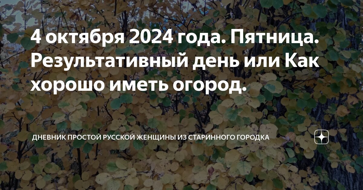 4 октября 2024 года. Пятница. Результативный день или Как хорошо иметь ...