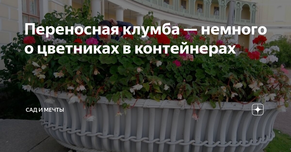 Переносная клумба — немного о цветниках в контейнерах | Сад и мечты | Дзен