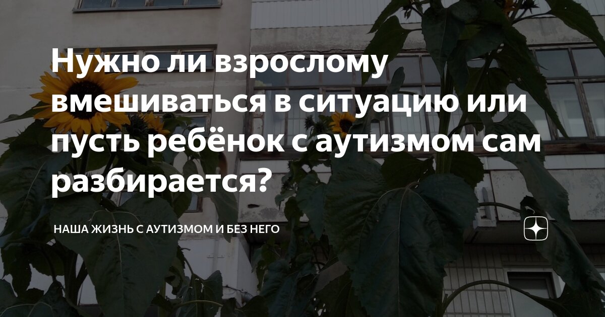 Нужно ли взрослому вмешиваться в ситуацию или пусть ребёнок с аутизмом ...