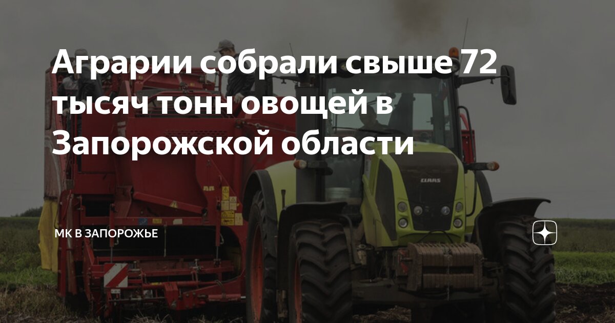 Собрали 364 тонны овощей. Тонна зерна. Собрали 364 тонны овощей. Собрали 364 тонны овощей. Собрали 364 тонны овощей.