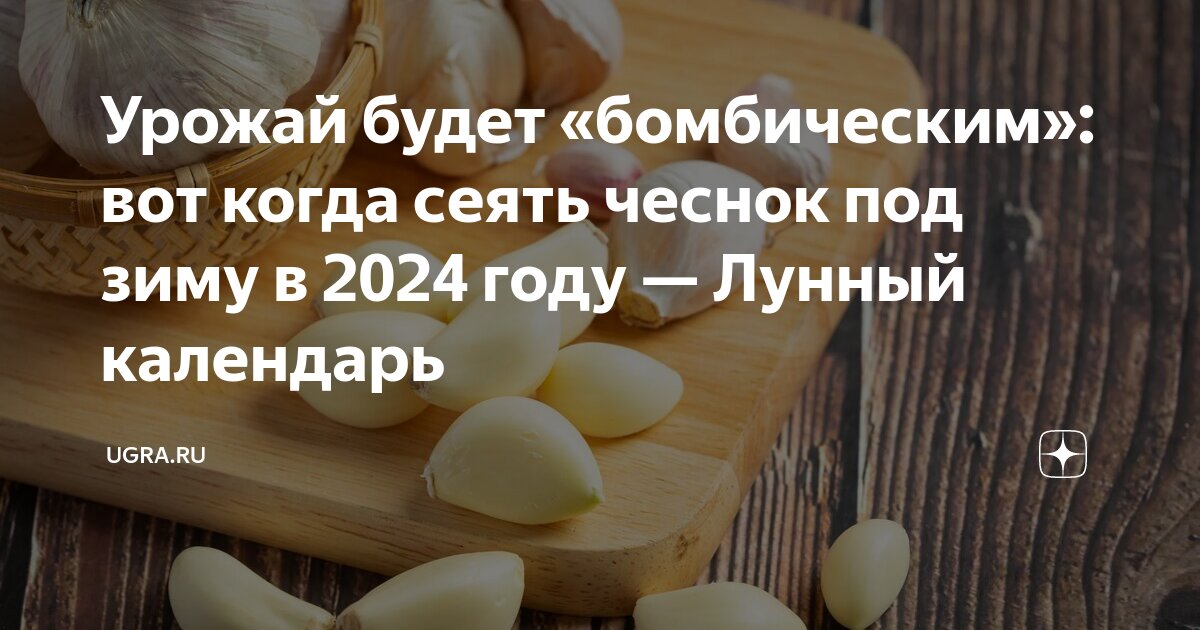 Лучшие посадочные дни чеснока в октябре 2024