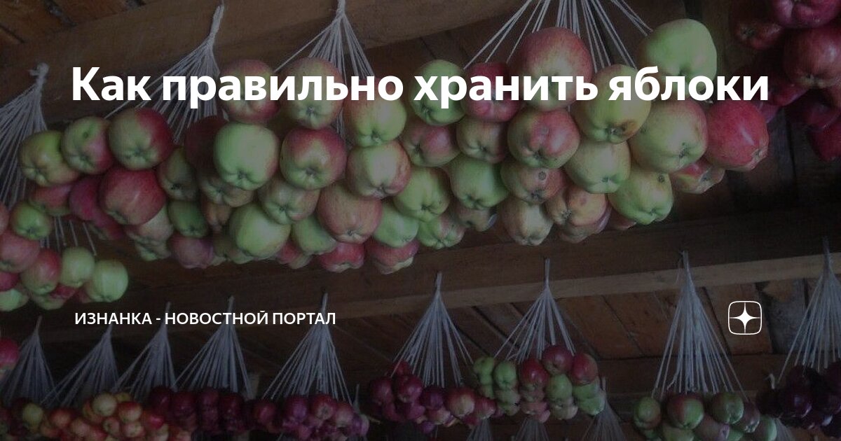 Хранение яблок при температуре
