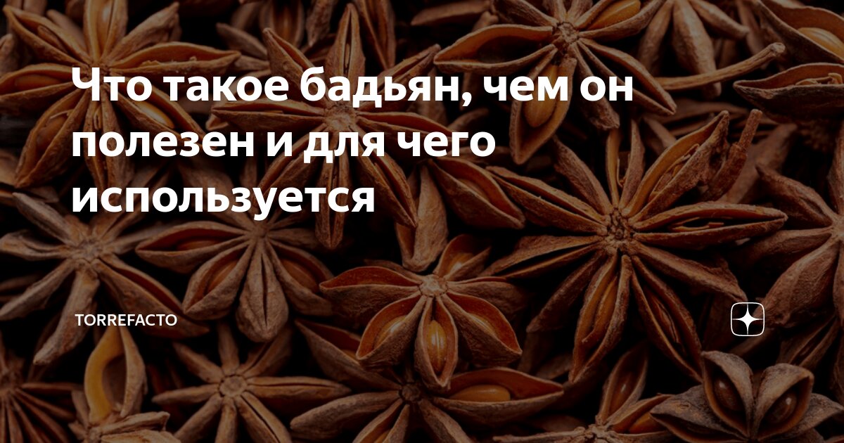 Что такое бадьян, чем он полезен и для чего используется | Torrefacto ...