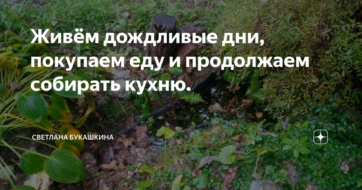 Живём дождливые дни, покупаем еду и продолжаем собирать кухню ...