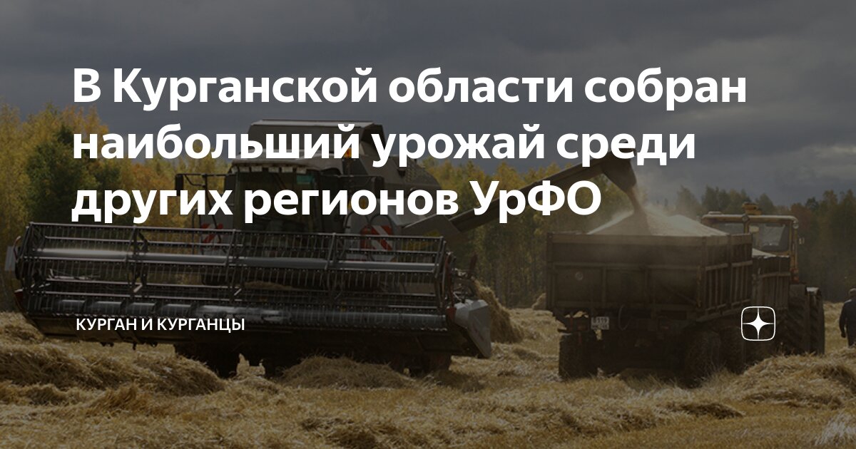 В Курганской области собран наибольший урожай среди других регионов ...