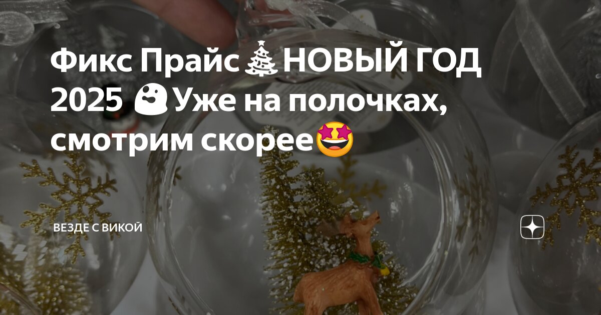 Фикс Прайс🎄НОВЫЙ ГОД 2025 😲Уже на полочках, смотрим скорее🤩 | Везде с ...