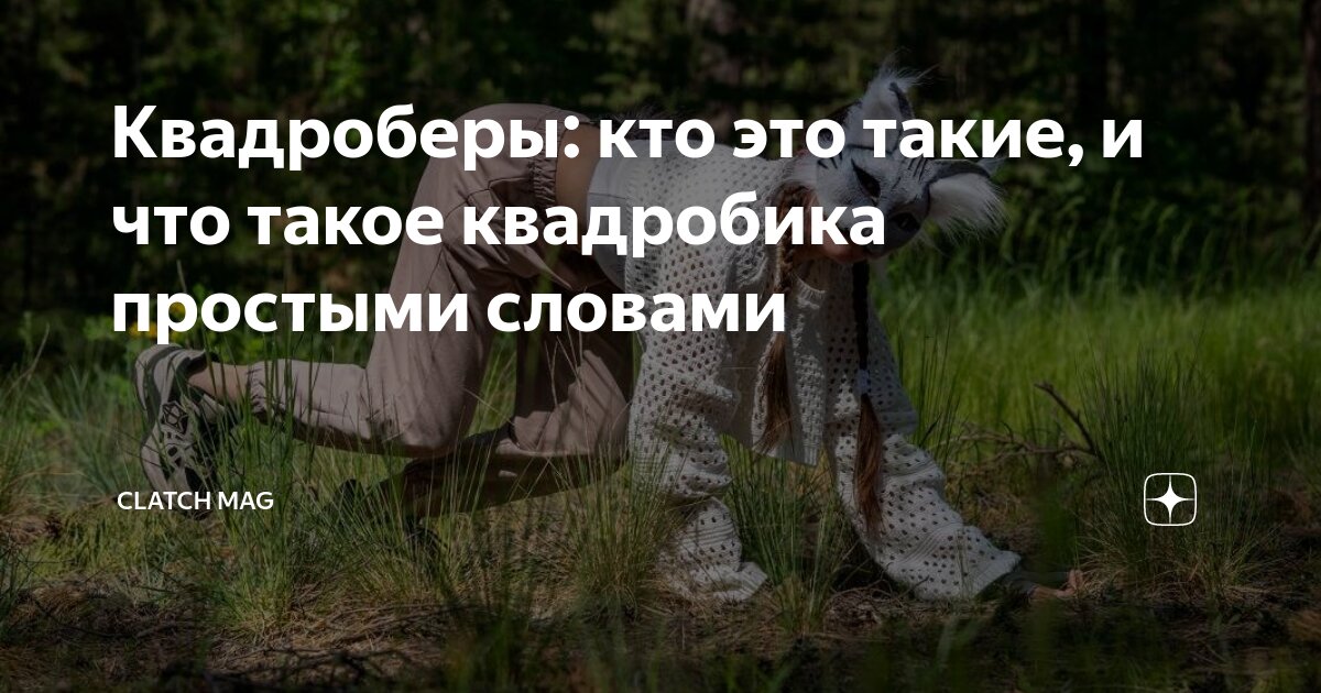 Квадроберы это кто простыми словами откуда пришло. Квадроберы это кто простыми словами откуда пришло. Квадроберы это кто простыми словами откуда пришло. Петли береша упражнения. Квадробика лайк.