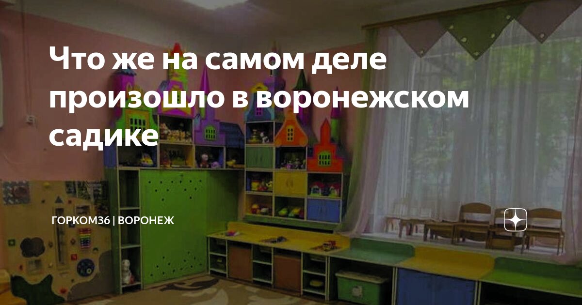 Что же на самом деле произошло в воронежском садике | Горком36 ...