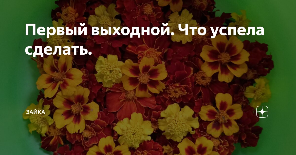 Позвольте себе роскошь быть собой. Оставайтесь людьми стихи. Все же успела его. Про любопытных людей высказывания. Как все успеть.