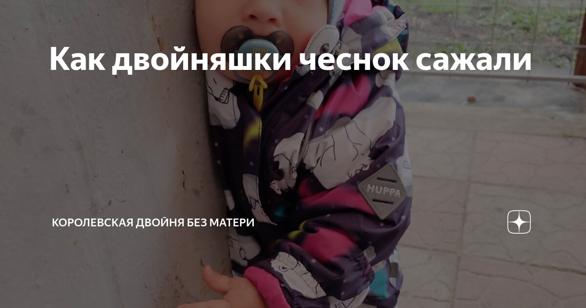Как двойняшки чеснок сажали | Королевская двойня без матери | Дзен