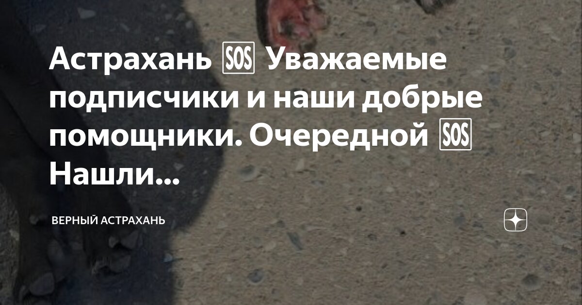 Мемы про наташку. Научи меня жить стихотворение. Никто не знает что случилось. Пожалеешь пожалеешь пожалеешь. Никто не знает что случилось.