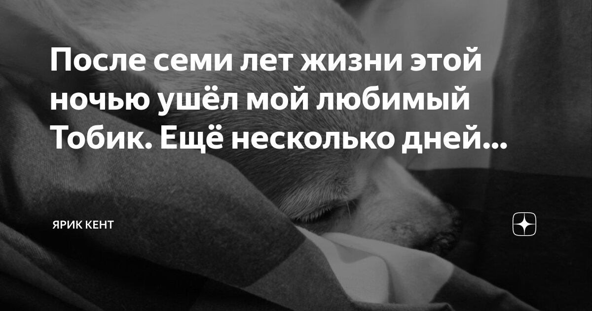 Не уходил только после того. Не уходил только после того