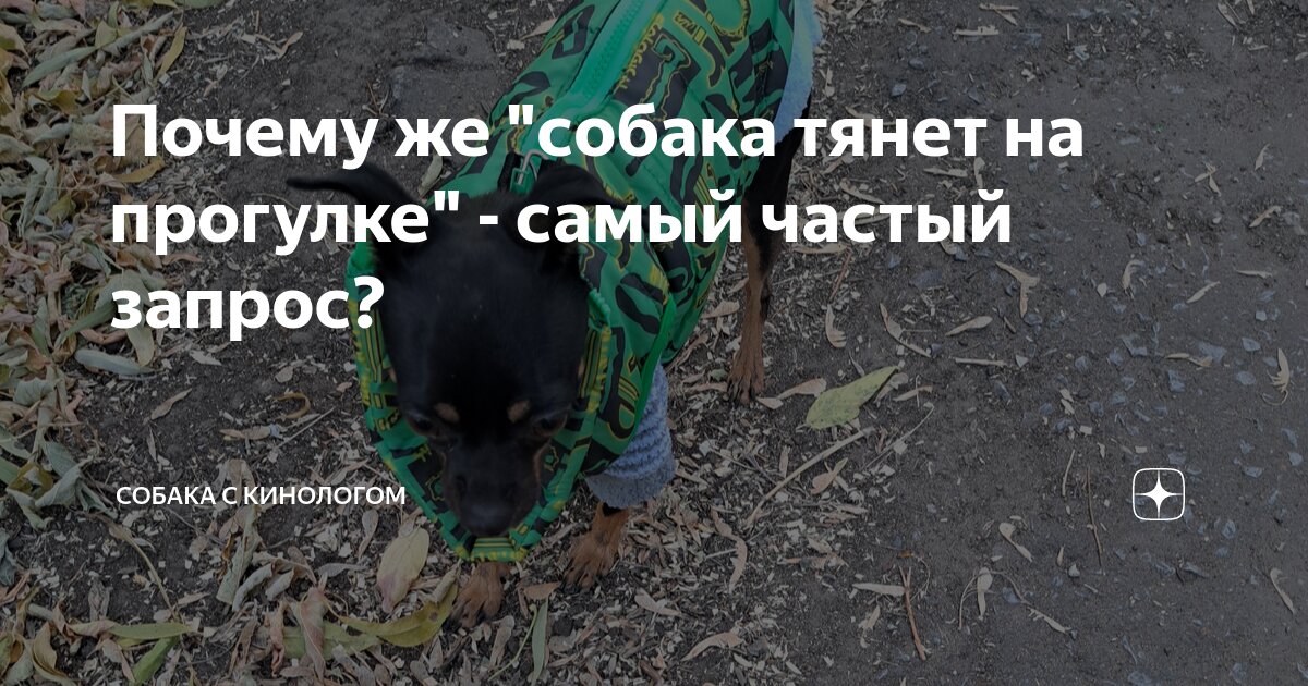 К тому же чаще всего. К тому же чаще всего