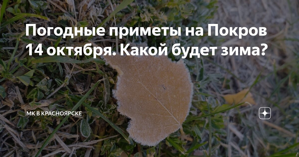 Снежный покров приметы. Приметы про снег. Снежный покров приметы. Значение снежного покрова для растений. Народные приметы на покров.