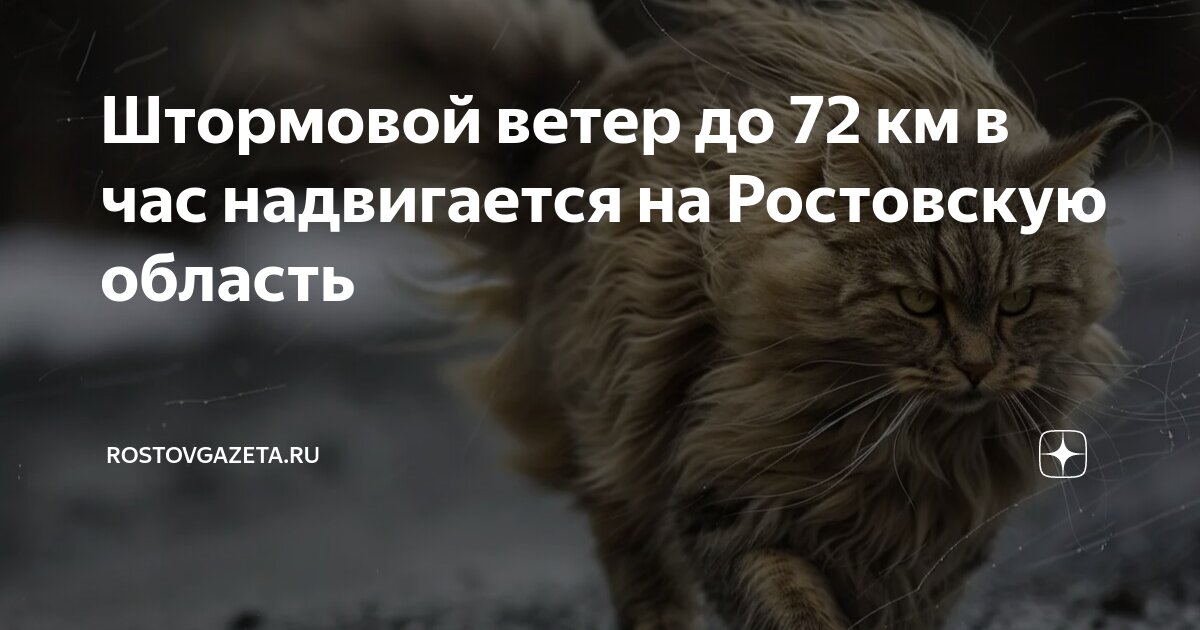 ветер 72 км в час сколько метров в секунду