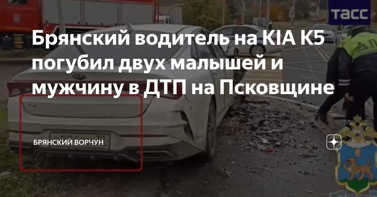 Брянский водитель на KIA K5 погубил двух малышей и мужчину в ДТП на ...
