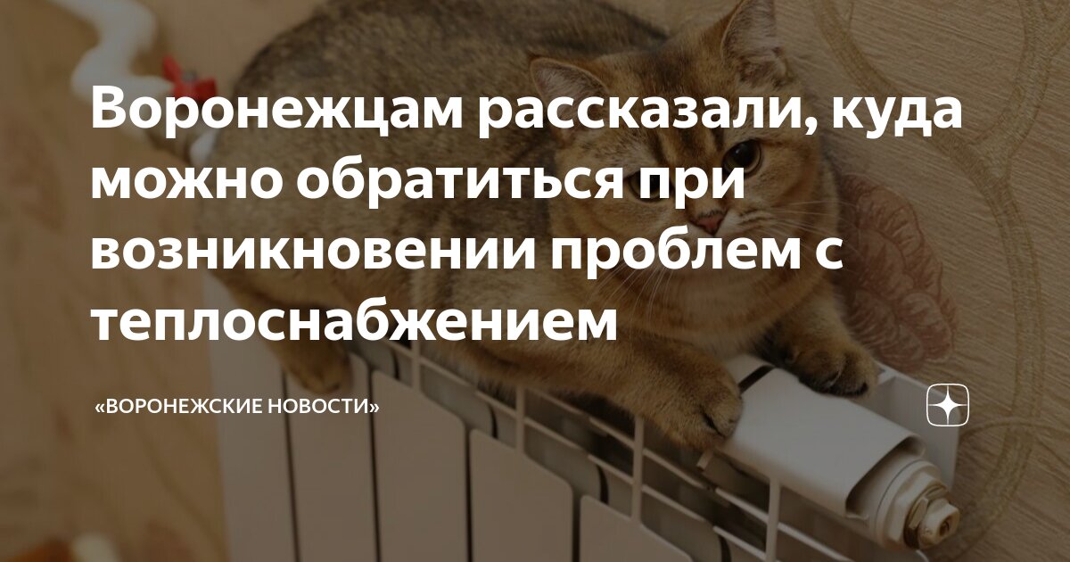 Возникновение вопроса. При возникновении проблем обращайтесь. При возникновении проблем обращайтесь. При возникновении проблем обращайтесь. При возникновении вопросов прошу обращаться.