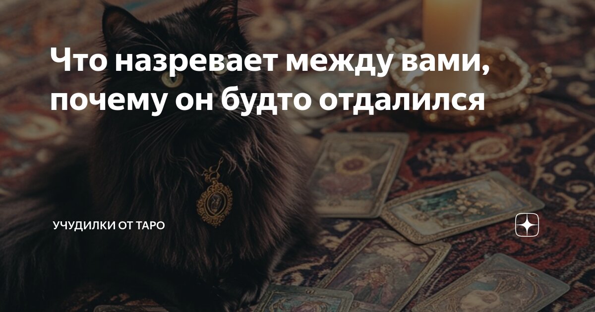 Что назревает между вами, почему он будто отдалился | Черные Котики ...